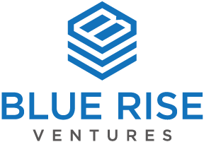 BlueRise Dynamics Logo